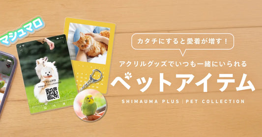 アクリルグッズでいつも一緒にいられる「ペットアイテム」をご紹介！