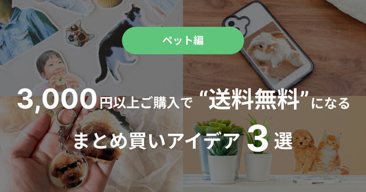 【ペット編】3,000円以上ご購入で“送料無料”になるまとめ買いアイデア3選