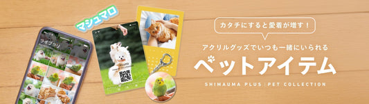 ［カタチにすると愛着が増す！］アクリルグッズでいつも一緒にいられるペットアイテム