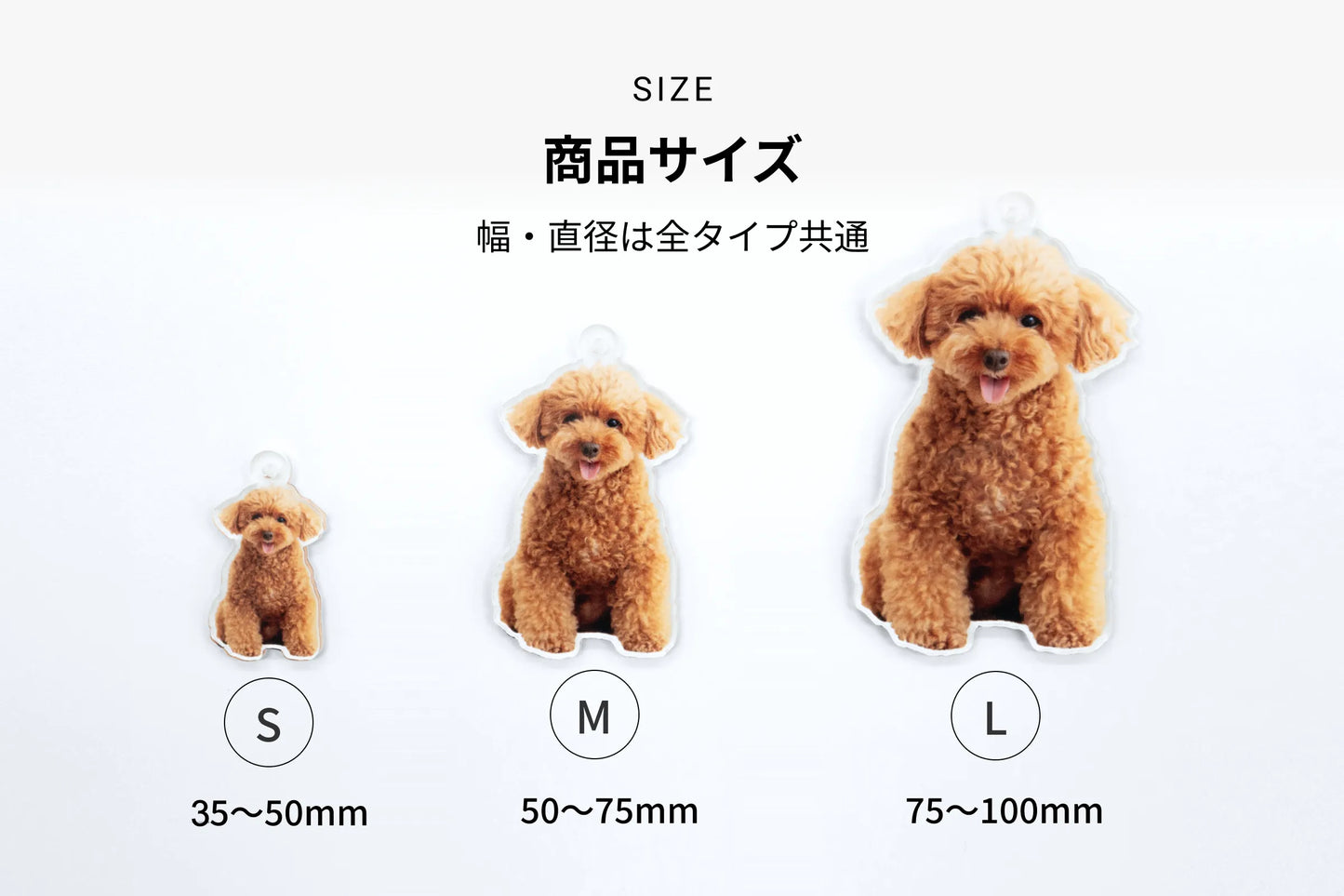 SIZE 商品サイズ 幅・直径は全タイプ共通（S）35〜50mm（M）50〜75mm（L）75〜100mm