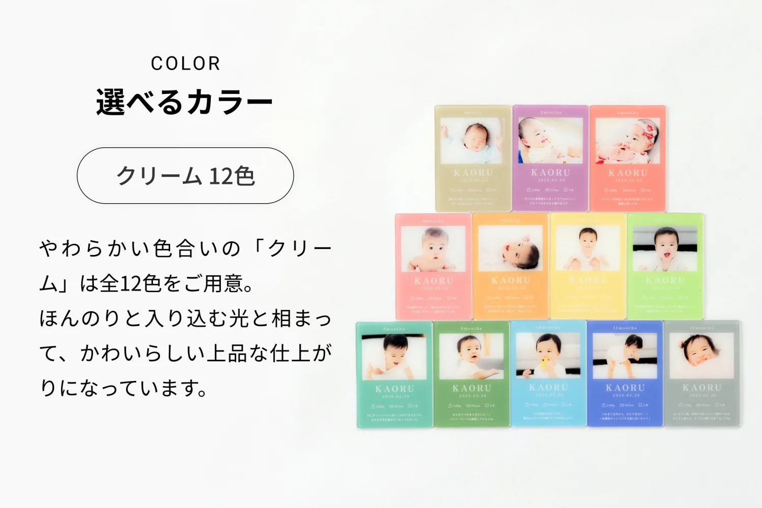 COLOR 選べるカラー（クリーム 12色）やわらかい色合いの「クリーム」は全12色をご用意。ほんのりと入り込む光と相まって、可愛らしいかわいらしい上品な仕上がりになっています。