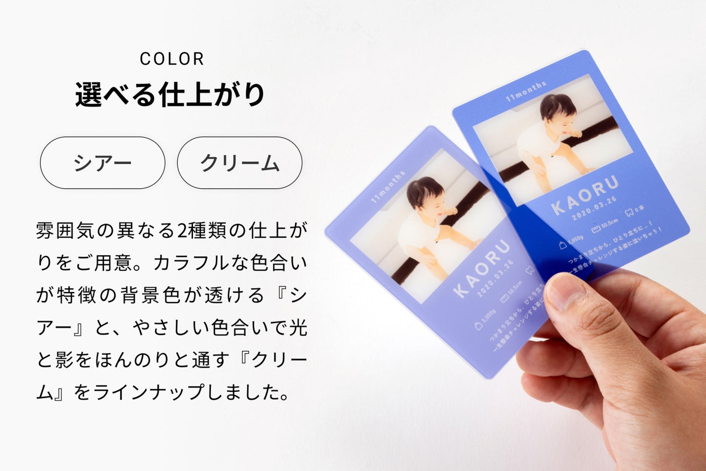 選べる仕上がり（シアー）（クリーム）雰囲気の異なる2種類の仕上がりをご用意。カラフルな特徴の背景色が透ける『シアー』と、やさしい色合いで光と影をほんのりと通す『クリーム』をラインナップしました。