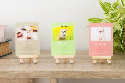 成長記録カード